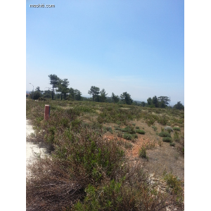 <a href='https://www.meshiti.com/view-property/en/1513_suburbs_up_to_25_driving_off_the_town_land__plot_for_sale/'>View Property</a>